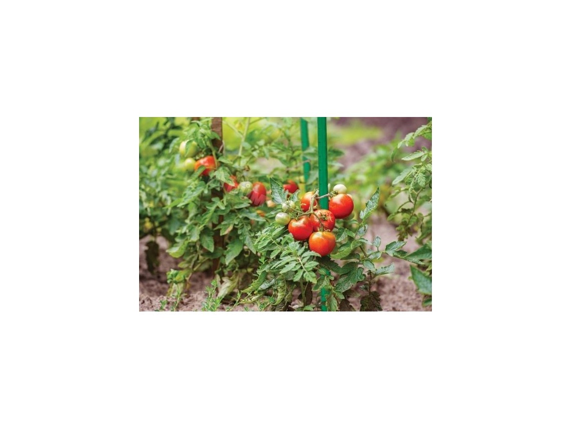 Bradas Ocelová tyčka k rostlinám 1,1cm - 80cm/10ks