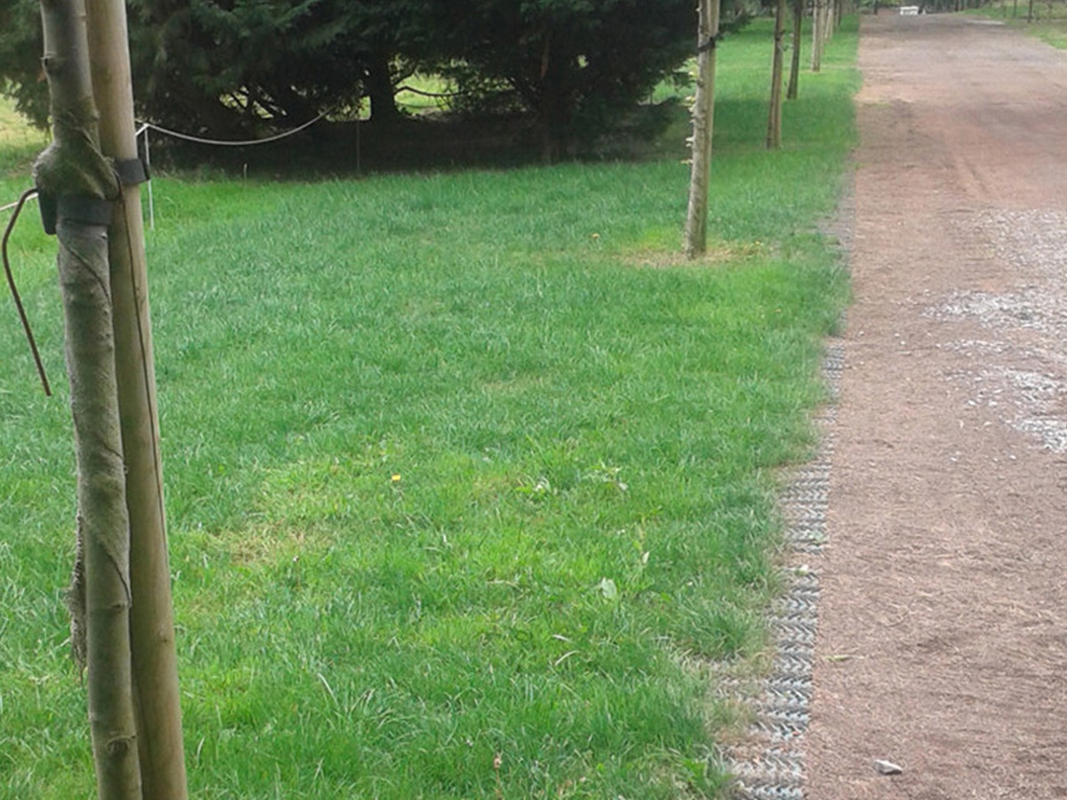 Zatravňovací rohož Tenax GP Flex