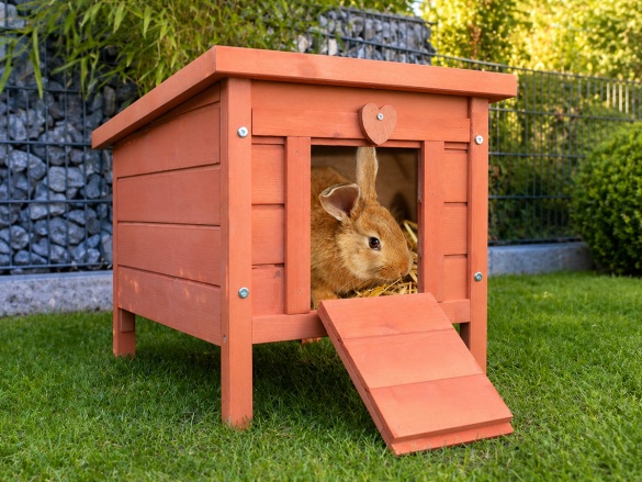 Drevená králikáreň Scobax Dodo