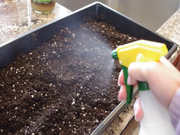 Kompletný sprievodca zazimovaním záhrady