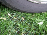 Zatrávňovacia rohož Tenax TR