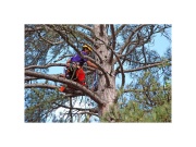 Ruční pila Silky Tsurugi Curve 330-7.5