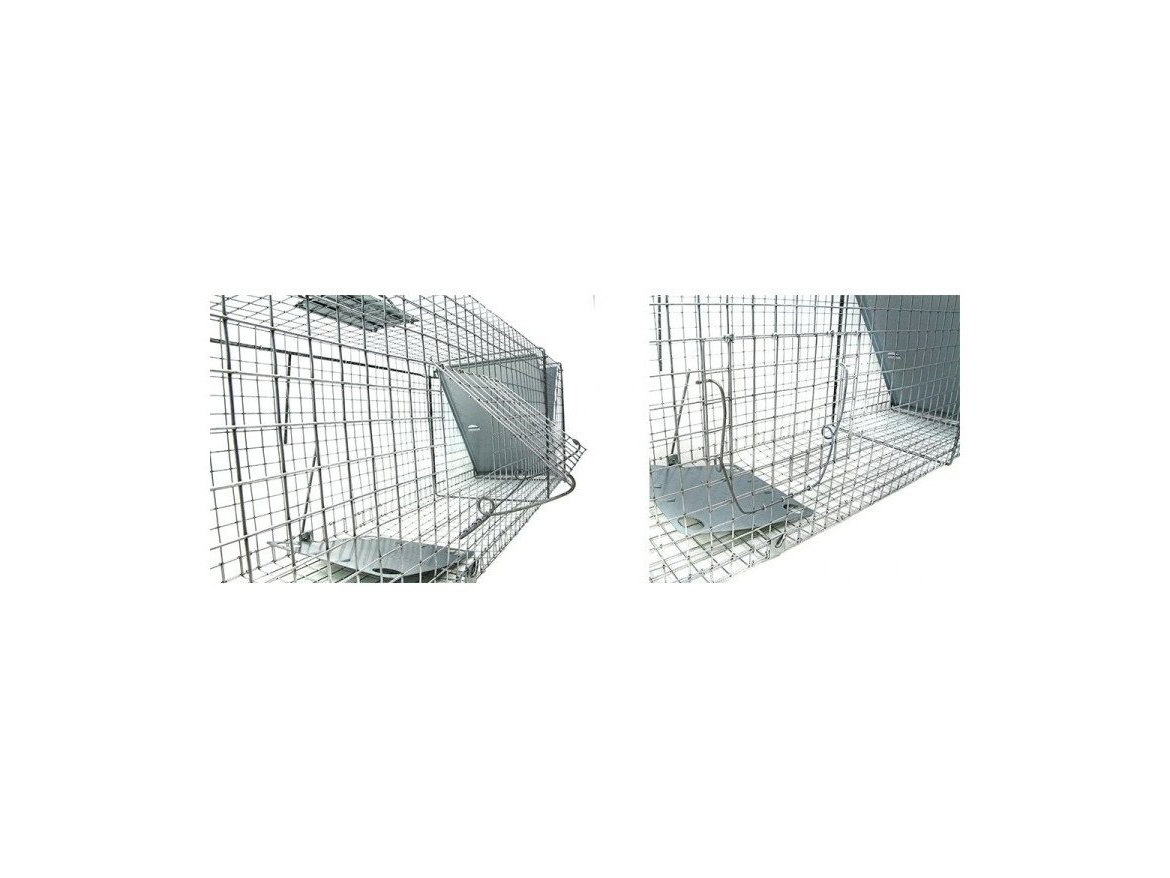 Scobax Past na kočky, kuny, potkany, krysy, lasičky a tchoře  TRAP ZL112x21x31
