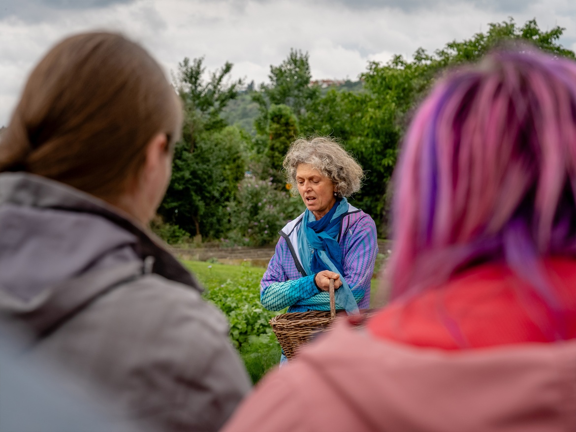 Autonóm üvegházunk egy hortibotanikus napon