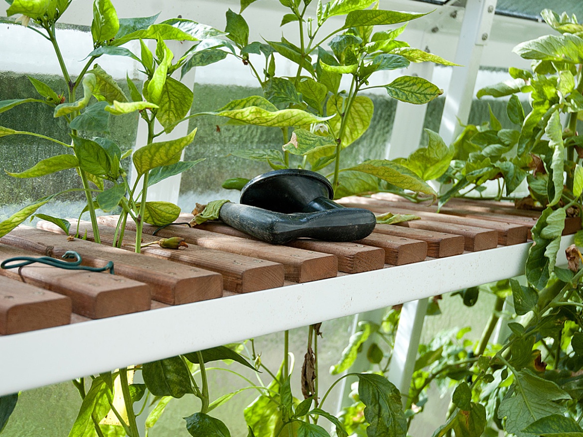 Výplň (drevený rošt) Limes Výplň police Primus (dřevěný rošt)