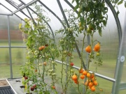 Skleník z polykarbonátu Covernit Standard