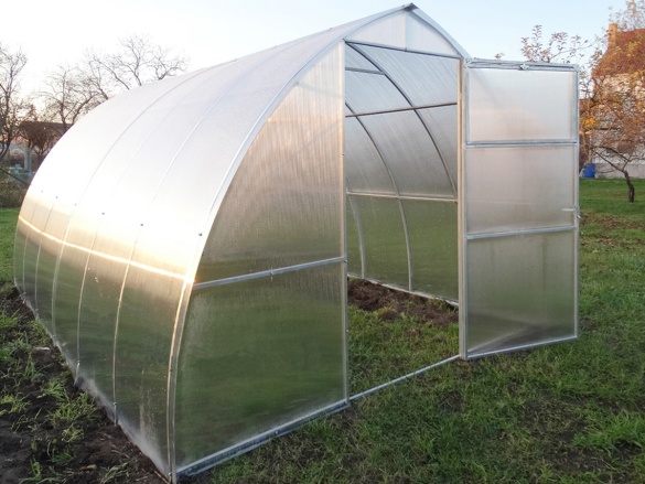 Skleník Scobax Violik