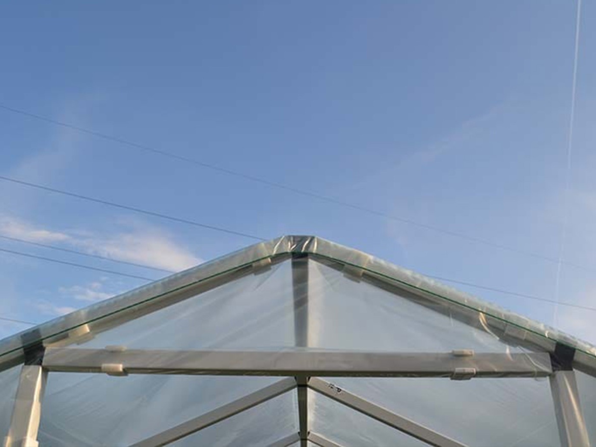 Fólia fa Scobax Mandava