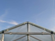 Fóliovník Scobax Mandava