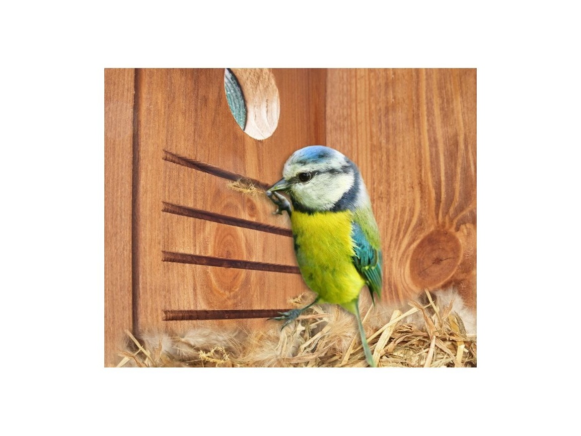 Scobax Ptačí budka Braun Grau 332