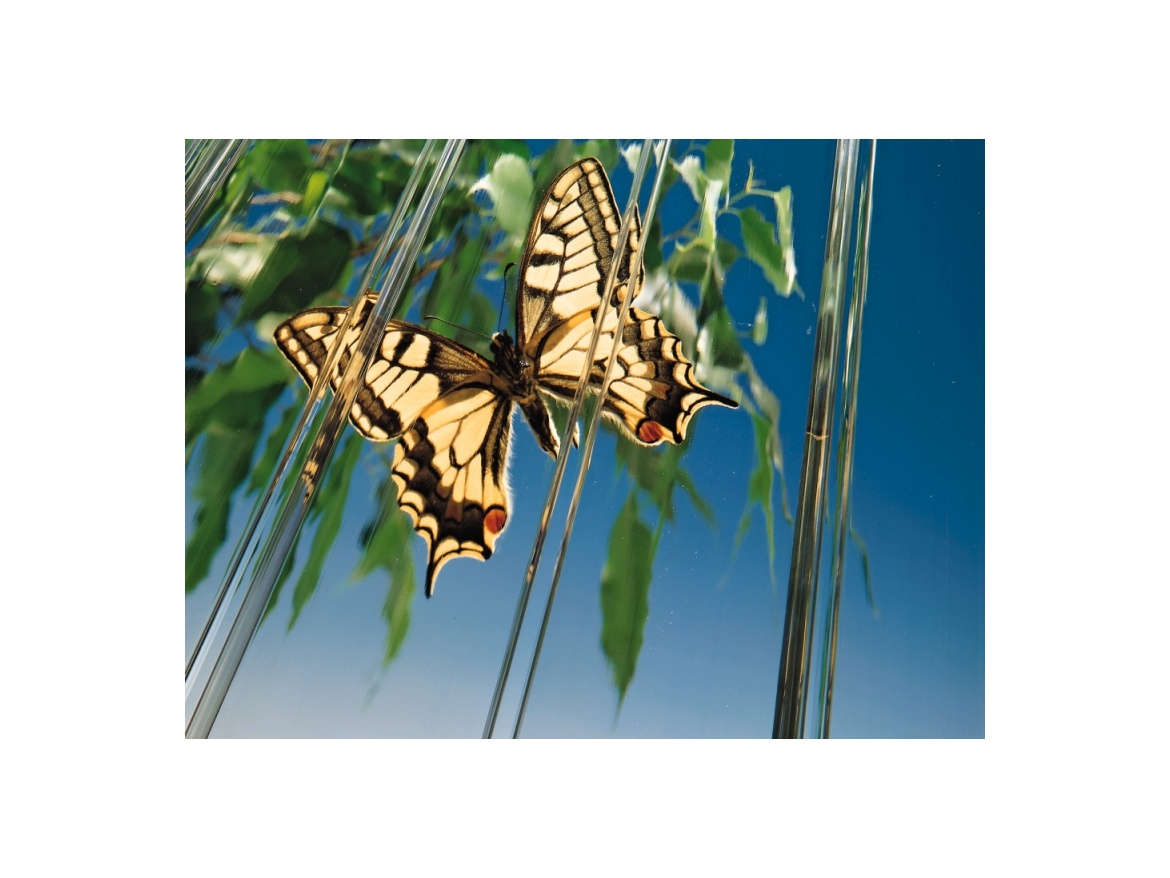 Plexisklo Evonik Alltop 16 mm