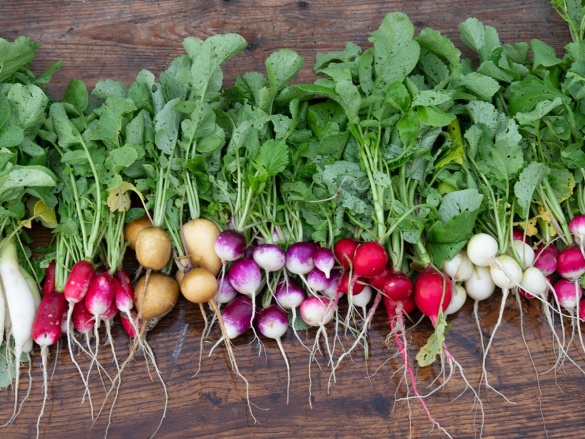 Mit kell termeszteni az üvegházban ősszel