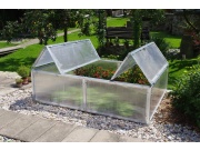 BOX Scobax Growspot BOX 4