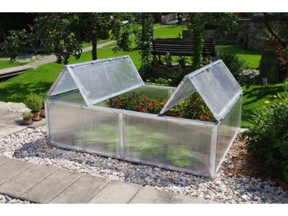 BOX Scobax Growspot BOX 4