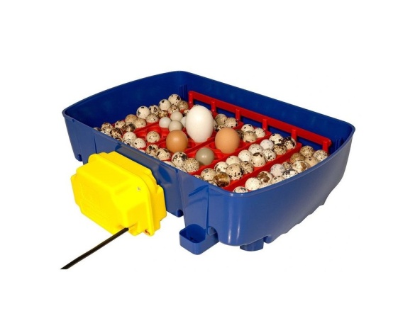 Scobax Plně automatická líheň na vejce BOROTTO REAL 24 EXPERT