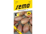 Semo Cibule jarní - Elista žlutá, salátová 1,5g
