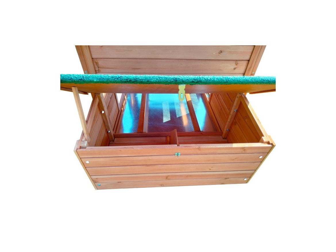 Tyúkól Scobax Duckens