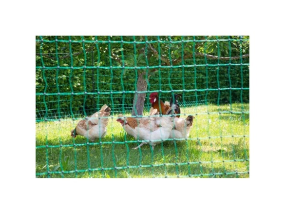 Scobax Síť premium nevodivá pro drůbež 106 cm, 2 hroty, 25 m, zelená