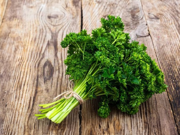 Mit kell termeszteni az üvegházban ősszel