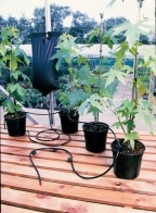 Csomag ACD Startovací balíček