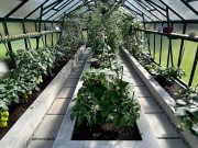 Skleník Limes Primus