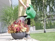 Zahradní konev Prosperplast Spring