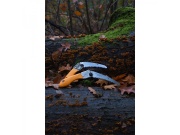 Skládací pila Silky Pocketboy Curve 130-8