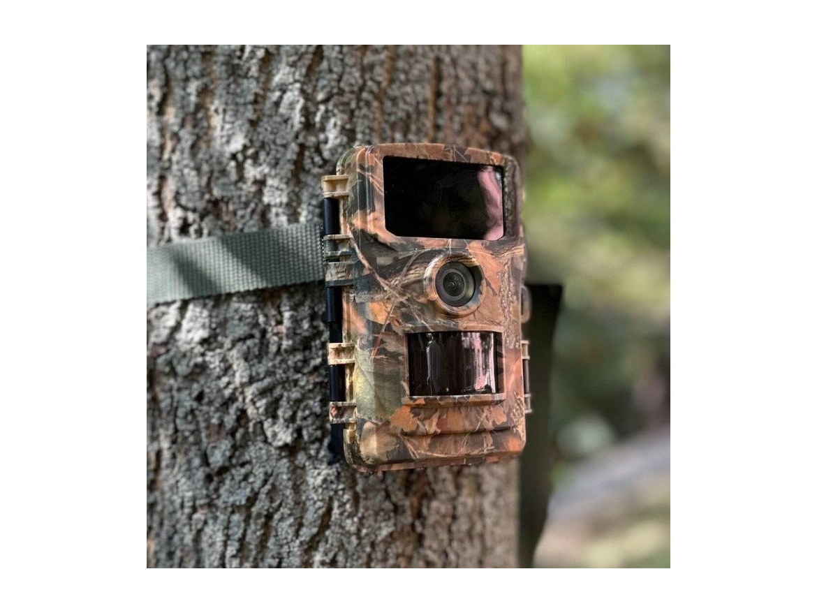 Scobax Fotopast Dogtrace d-guard 940