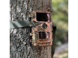 Scobax Fotopast Dogtrace d-guard 940