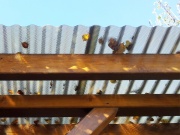 Polykarbonátová vlnitá deska Brett Martin Marlon CSE Diamond