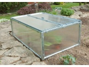 Scobax Growspot BOX 5