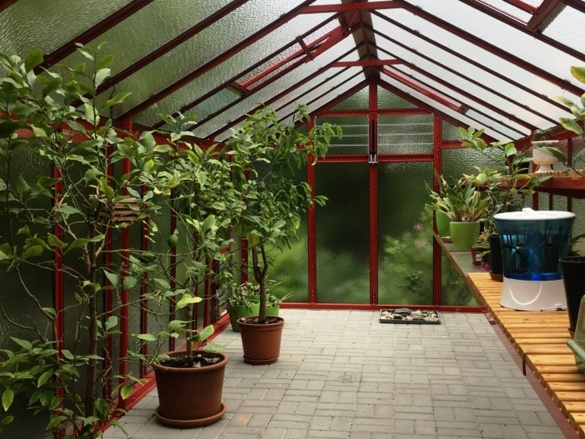 Skleník Limes Primus