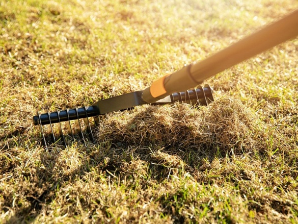 Kompletný sprievodca zazimovaním záhrady