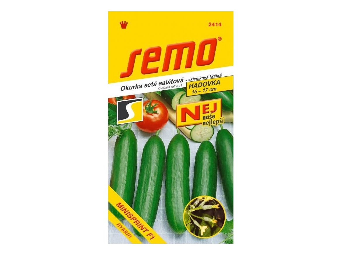 Semo Okurka skleníková - Minisprint F1 kr 10s - série NEJ