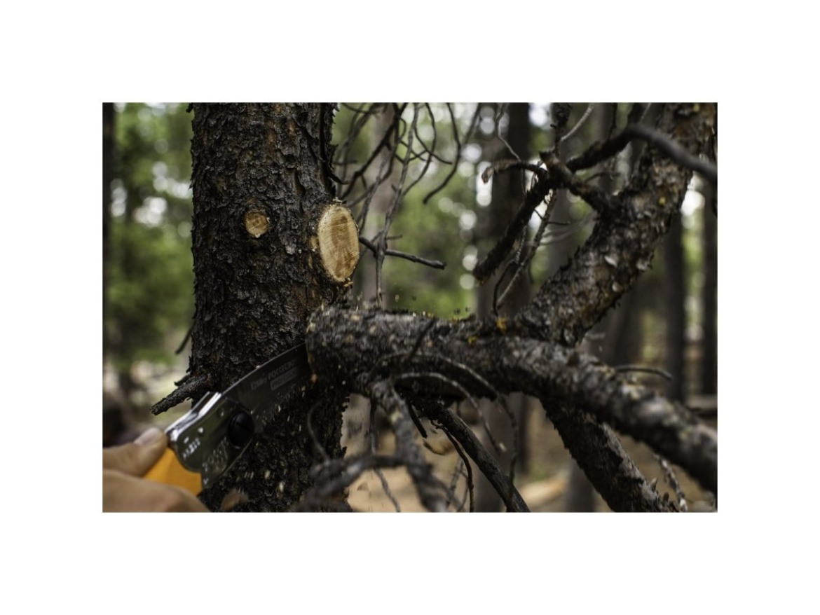 Skládací pila Silky Pocketboy Curve 130-8