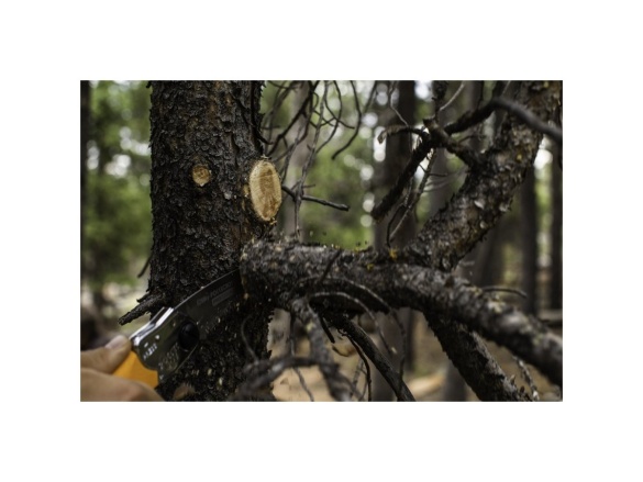 Skladacia píla Silky Pocketboy Curve 130-8