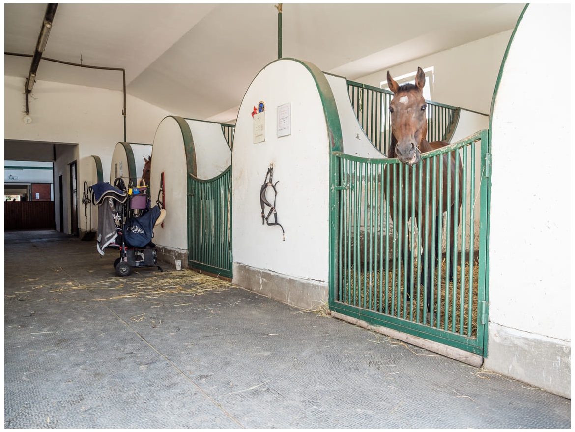 Gumová podlahovina s kladivkovým profilom KSK-BELT Hammer