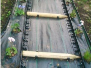 Plastový zahradní obrubník Gutta Guttagarden