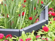 Záhonový obrubník Scobax Smartline