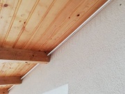 Stop hnízdům Gutta