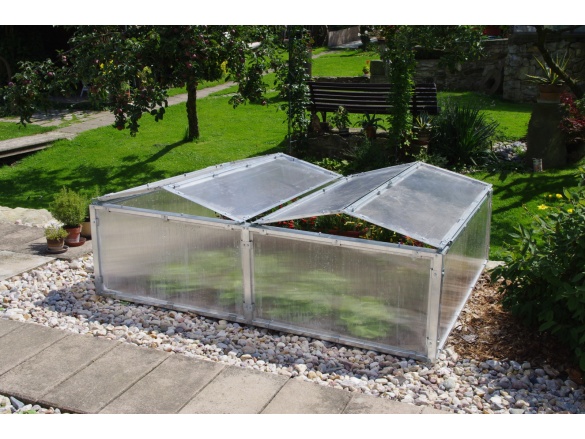 BOX Scobax Growspot BOX 4