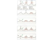 Nerezový vrut s distanční podložkou Salux V2A