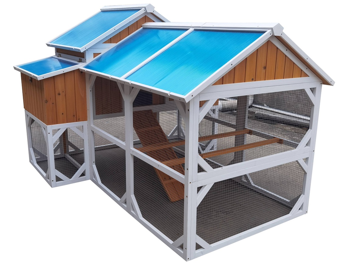 Tyúkól Scobax Pepper