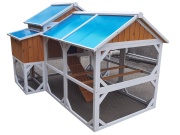 Tyúkól Scobax Pepper