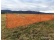 Bradas Ochranná síť BARRIER NET 1x30m