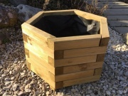 Truhlík Scobax Granada