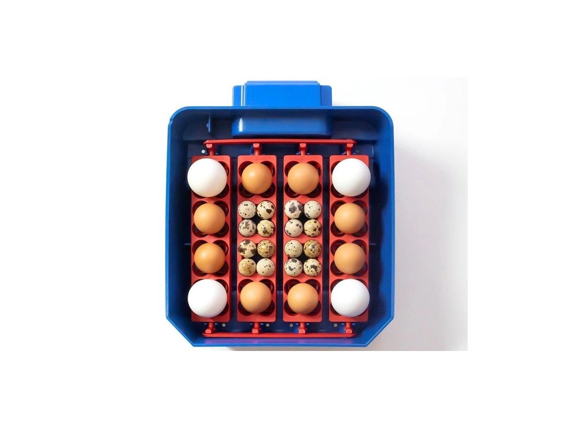 Scobax Automatická líheň na vejce BOROTTO LUMIA 16 AUTOMATIC