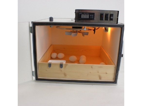 Scobax Dolíheň MS80U - pro závěrečnou fázi líhnutí