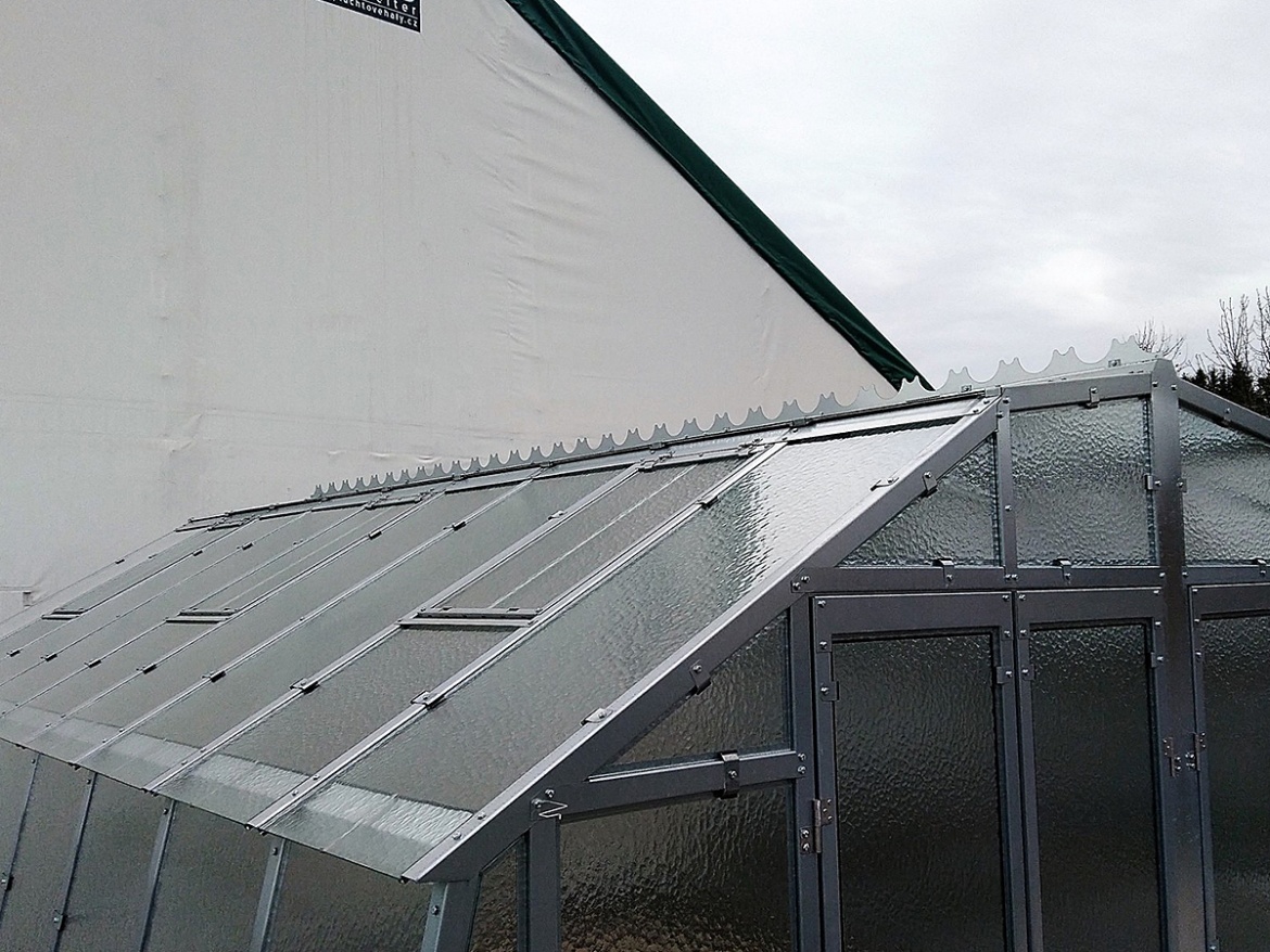 Limes Hrebeňová dekorácia Variant