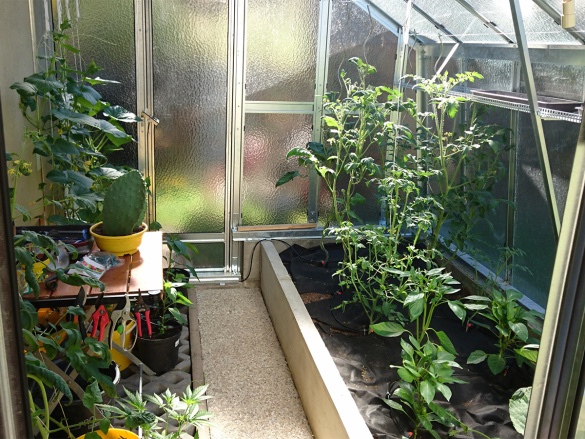 ZDDÚ Skleník Ekogarden M (přístavba)